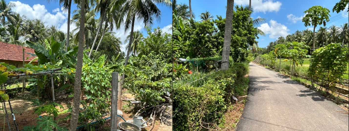 nhà vườn hoài xuân, bình định